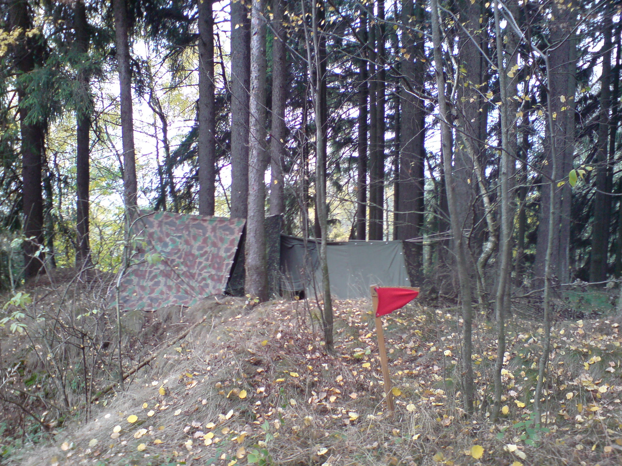 tabor 2